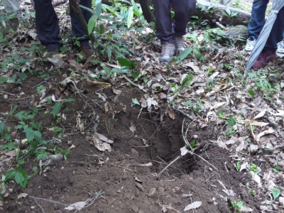 110707_イノシシの穴100707.jpg