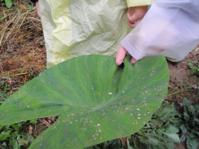 画像 197_original.jpg