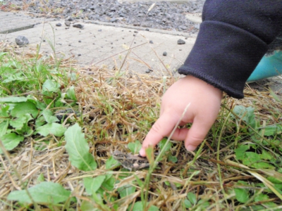 画像 216_original.jpg