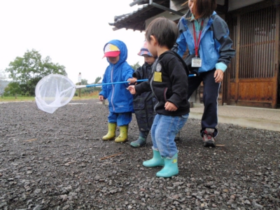 画像 214_original.jpg