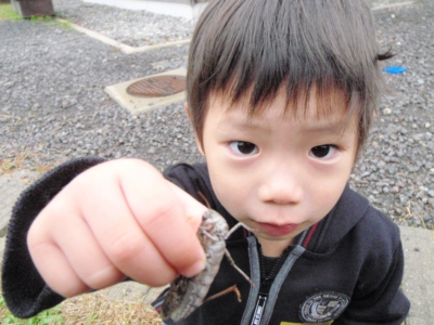 画像 217_original.jpg